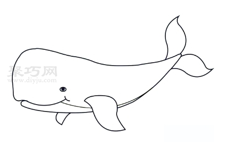 怎么画庞大的鲸鱼简单又漂亮 庞大的鲸鱼简笔画教程