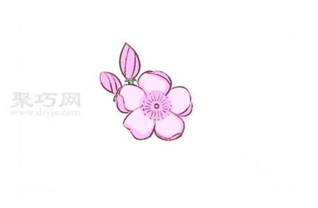 儿童画粉色樱花步骤 来学粉色樱花简笔画