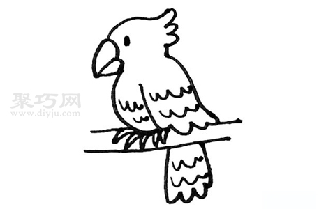 儿童画鹦鹉如何画 鹦鹉简笔画画法