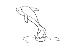 一步一步教你画海豚简笔画
