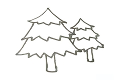 松树怎么画简单又漂亮 来看松树简笔画画法