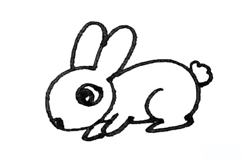 怎么画小兔子简单又漂亮 一步一步教你画小兔子简笔画