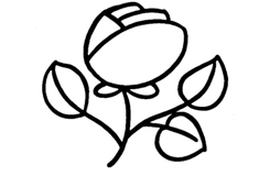 玫瑰花怎么画简单又漂亮 一步一步教你画玫瑰花简笔画