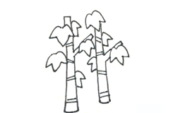 如何画枫树简单又漂亮 来学枫树简笔画步骤