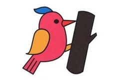 怎么画啄木鸟好看又简单 来学啄木鸟简笔画画法