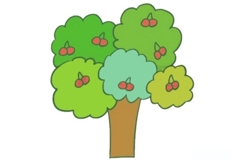 如何画果树最简单 来学果树简笔画步骤