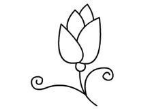 怎么画花朵好看又简单 花朵简笔画画法