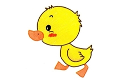小鸭子画法步骤图解 来学小鸭子简笔画