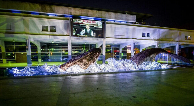 七万废旧塑料瓶打造巨型鲸鱼纪念欧洲绿色首都