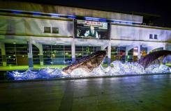 七万废旧塑料瓶打造巨型鲸鱼纪念欧洲绿色首都