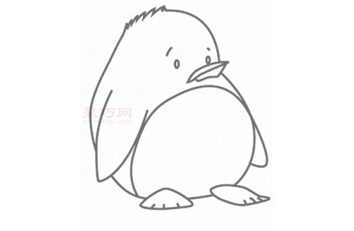 胖企鹅简笔画第5步