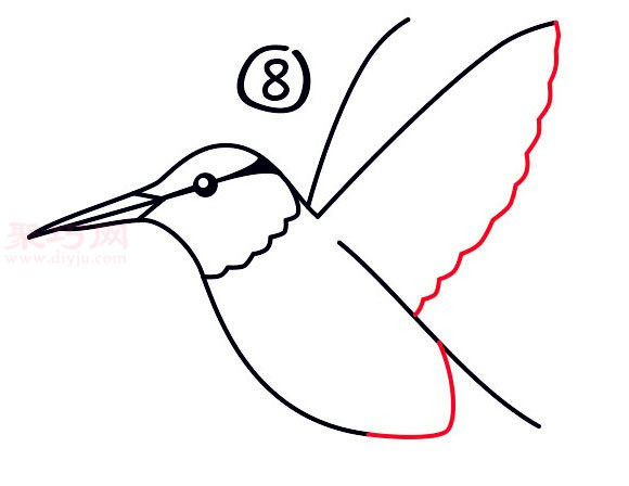 蜂鸟简笔画第8步