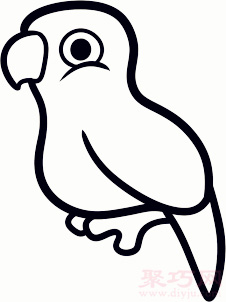 简易画鹦鹉的步骤 画鹦鹉的简笔画图片