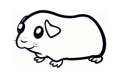 幼儿简笔画豚鼠的画法 教你怎样画豚鼠简笔画