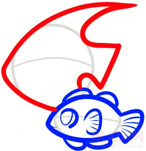 热带鱼简笔画第5步