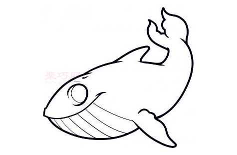 鲸鱼简笔画第7步