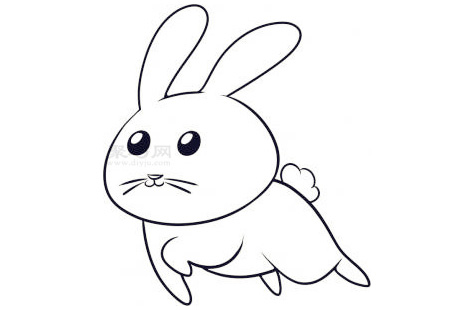 小兔子简笔画第6步