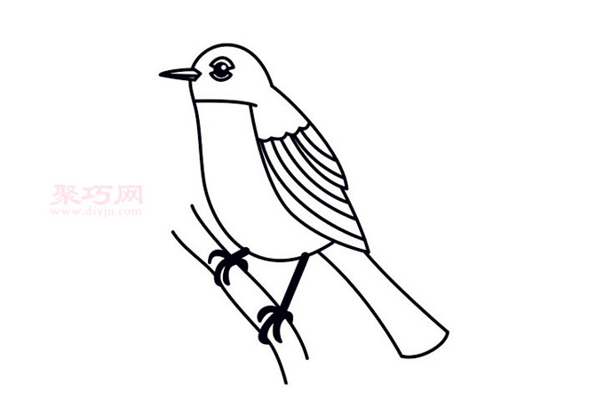 儿童简笔画罗宾鸟的画法 教你如何画罗宾鸟简笔画