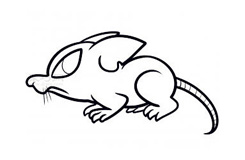 儿童简笔画鼠的画法 教你怎样画鼠简笔画