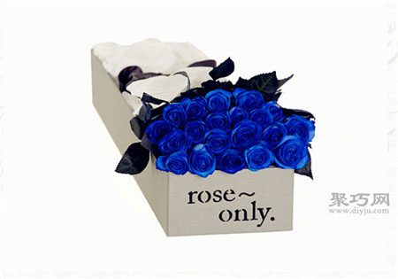 蓝玫瑰花语是什么 蓝玫瑰代表什么意思？