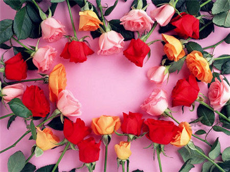 玫瑰花语大全 不同颜色玫瑰花花语是什么？