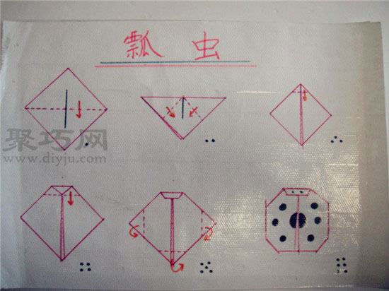 幼儿园大班折纸教案:折纸七星瓢虫 七星瓢虫的折法