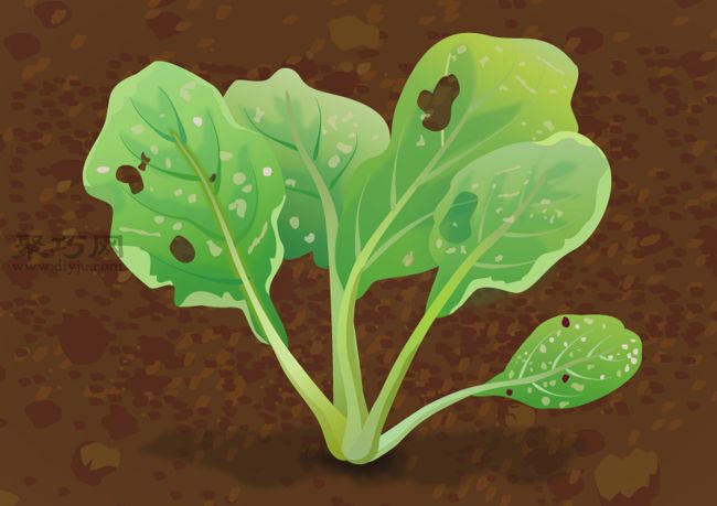 栽培油菜必备 如何提高油菜的病虫害防治