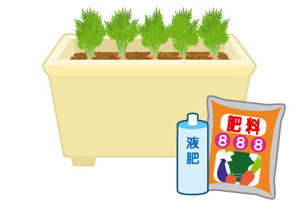 胡萝卜种植的要点 栽培红萝卜施肥注意事项