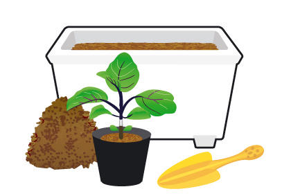 茄子种植新手必备 土壤 环境 幼苗的选择