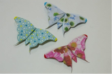 简单蝴蝶折纸图解教程：教你如何叠纸蝴蝶
