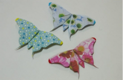 简单蝴蝶折纸图解教程：教你如何叠纸蝴蝶
