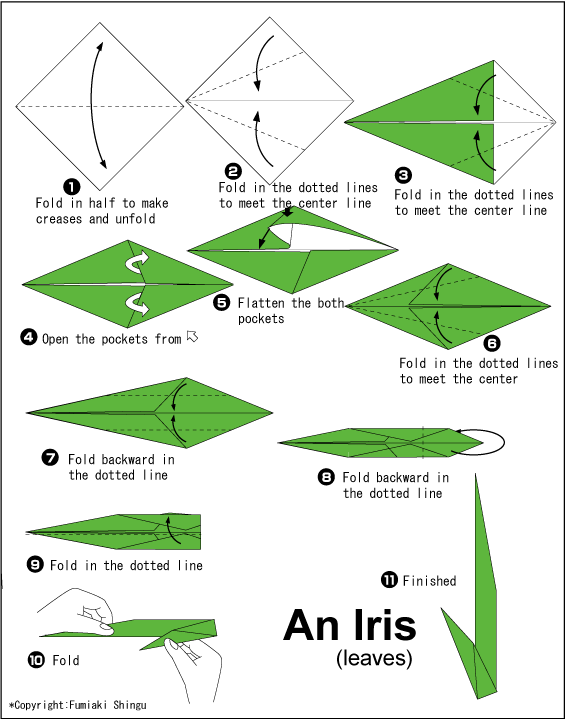 折纸鸢尾花叶片的制作教程